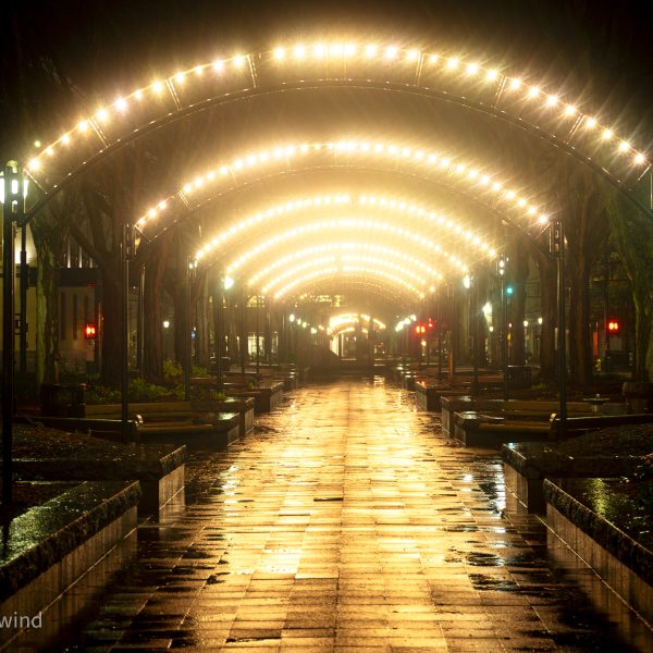 Night Street Photography